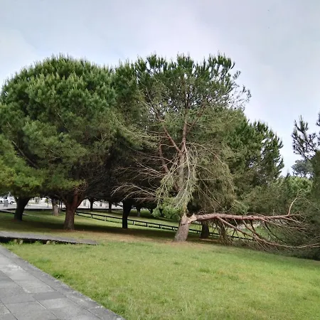 áticos Con Terraza Vistas Urbanos 100 Playa Apartamento *