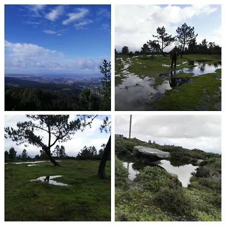 áticos Con Terraza Vistas Urbanos 100 Playa