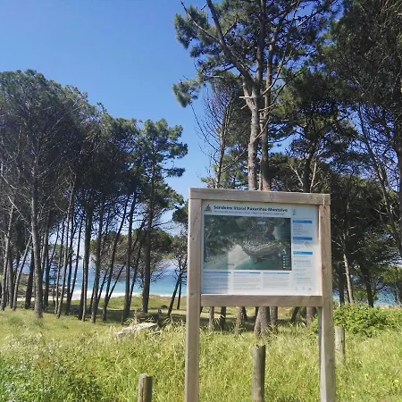 Aticos Con Terraza Vistas Urbanos 100 Playa 아파트